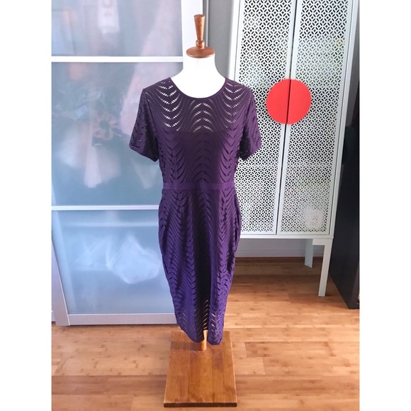 NWOT Cynthia Steffe Purple Swirl Dress